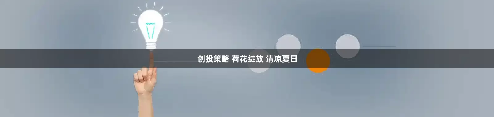 创投策略 荷花绽放 清凉夏日